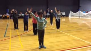 Knox Chinese Elderly Citizens Club - Qian Long Yong Xin Quan