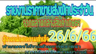 ปลูกผัก เช็คราคาผัก สำรวจราคาผัก อัพเดทราคาผักวันนี้ 26/6/66