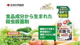 食品成分の殺虫殺菌剤！収穫前日まで何度でも使える!!　ベニカマイルドスプレー