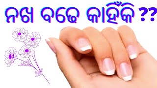 ନଖ ବଢେ କାହିଁକି ??//nakha kanhniki badhe//why does your nails grow ????