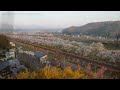 宮城県jr大河原駅～船岡駅「一目千本桜の散り始め」2022.04.13（水）