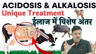 इलाज की यूनिक भिन्नता Differential Treatment of Acidosis and Alkalosis in cattle