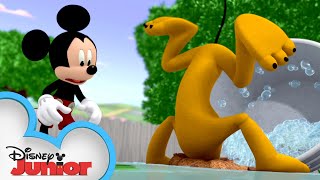 Bow-Wow Bath Time! 🛀 | Mickey Mouse Hot Diggity Dog Tales | Disney Junior
