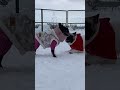 雪の中ほのぼの遊ぶ道産子ブヒズ💕【フレンチブルドッグ】 shorts