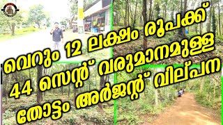 വെറും 12 ലക്ഷം രൂപക്ക് 44 സെന്റ് വരുമാനമുള്ള  തോട്ടം അർജന്റ് വില്പന | plotes for sale |