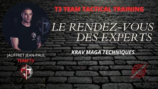 T3 - Experts' Meeting - Krav Maga - Interior defense against direct punch to the face