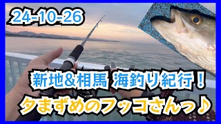 24-10-26  新地\u0026相馬 海釣り紀行！夕まずめのフッコさんっ♪