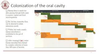 口腔微生物2022.3.9