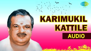 Karimukil Kattile Song | Kallichellamma | Jayachandran Malayalam Hits