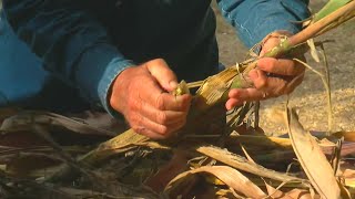 Drought Relief Package Proposed For Minnesota Farmers