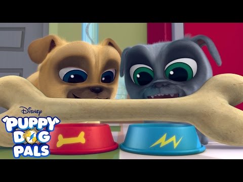 Theme Song | Puppy Dog Pals | Disney Junior Theme Song | Puppy Dog Pals | Disney Junior