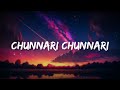 Chunari Chunari - Abhijeet, Anuradha Sriram (Lyrics) | Lyrical Bam Hindi