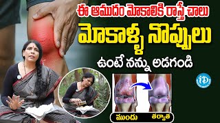 ఈ ఆముదంతో మోకాళ్ళ నొప్పు మాయం | Health Benefits Of Castrol Oil | Yoga Guru Aruna Devi | iDream