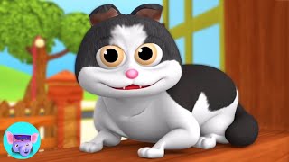 Meow Meow Billi Karti, म्याऊं म्याऊं बिल्ली करती, Kids Nursery Rhyme in Hindi