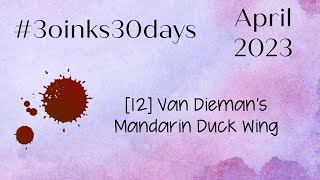 12 Van Dieman's Mandarin Duck Wing - #30inks30days April 2023