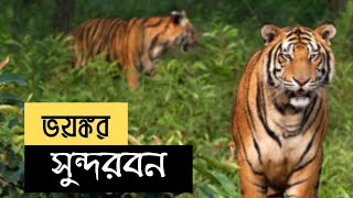 অপারূপ সৌন্দর্য্যময় সুন্দরবন