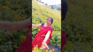 आज लेना लैला किन के क्रम राजाजी#shorts #bhojpuri #dance #funny