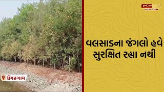 VALSAD: જંગલો હવે સુરક્ષિત રહ્યા નથી