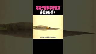 如果子彈擊中厚書本，會發生什麼？#科普 #知識#有趣