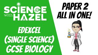 ALL OF EDEXCEL GCSE 9-1 BIOLOGY (2024) ⭐PAPER 2⭐ | Triple Award | GCSE Biology Revision