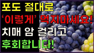 포도 절대로 '이렇게' 먹지마세요! 치매 암 걸리고 후회합니다! - 포도의 효능 3가지와 치매, 암을 유발하는 잘못된 포도 먹는 방법 3가지 [표도효능, 건강정보]