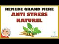 Anti stress naturel remède grand mère