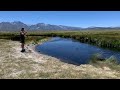 CATCHING LOADS OF FISH AT OWENS RIVER | MAMMOTH LAKES, CA