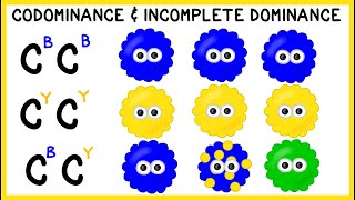 Codominance and Incomplete Dominance: Non-Mendelian Genetics