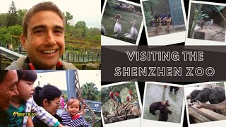 Visiting the Shenzhen Zoo