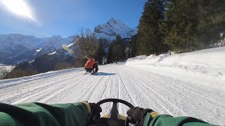 Sledding in Braunwald  |  Tobogganing PoV