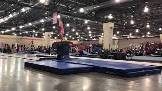 Ava Boyd 2019 | Pink Invitational 2018 | Level 10 vault