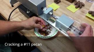 Sample Cracker Demo