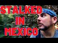 Lost and Stalked on the Trail to Sayulita, Mexico