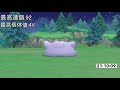 【ポケモンダイパリメイク】最終日 国際6vメタモンを求めて ポケトレ100連鎖＆メタモン厳選【ポケットモンスター】