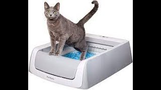 PetSafe ScoopFree Automatic Self-Cleaning Cat Litter Box