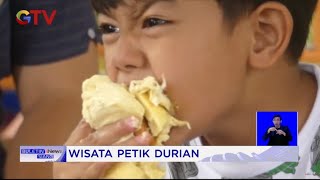 Legitnya Durian Petik Sendiri dri Pohon, Banyumas #BuletiniNewsSiang 15/12