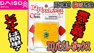 【ダイソー購入品】頭の体操　脳の活性化！また見つけた迷路はレベル1だけど、操作激ムズ！？