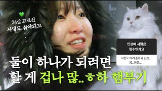 VLOGㅣ인생에 ♥︎은 필수입니다 브이로그, 자취 청산, 24살 묘르신과의 생활, 증명사진, 인생그래프, 성당예식 준비