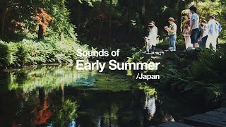 Sounds Of Early Summer - Japan | CINEMATIC VLOG with BMPCC4K  | Kumamoto(熊本)