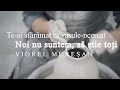 Te-ai sfărâmat tu vasule-ncercat /Să știe toți noi nu suntem (Muzică creștină 2024) Viorel Mureșan