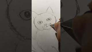 1ヶ月30回猫を描いたら神絵師になれるか検証　第18回　#30回猫チャレンジ