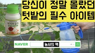 [한국농수산TV] 당신이 몰랐던 텃밭의 필수 아이템!! 텃밭의 비밀병기를 소개합니다~ 네이버에 \