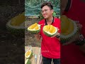 king of fruits ripe durian unboxing skills