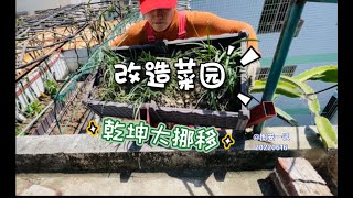 【图安一记】看我乾坤大挪移改造菜园，不伤根移植菜苗Rearranging the Rooftop Veggie Garden without Hurting the Seedlings