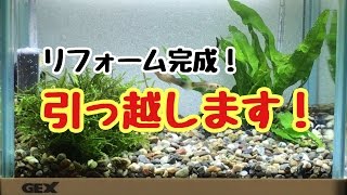 リフォーム完成！引っ越します！【ベタ】