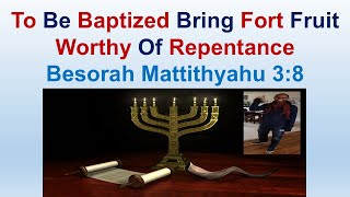 To Be Baptized Bring Fort Fruit Worthy Of Repentance - Besorah Mattithyahu 3:8