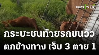 กระบะชนท้ายรถขนวัว เทกระจาด วัวเจ็บระนาว-ตาย 1 | 17 ส.ค. 66 | ห้องข่าวหัวเขียว