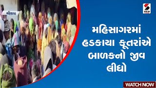 Mahisagar | મહિસાગરમાં હડકાયા કૂતરાંએ બાળકનો જીવ લીધો | Gujarat