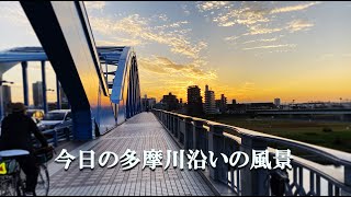 多摩川サイクリングロード沿いの風景(右岸)　丸子橋→登戸周辺 - Tama River Cycling road - Japan -