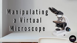 Manipulating a Virtual Microscope